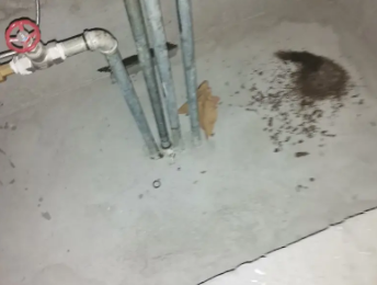 义乌卫生间测漏水价格明细